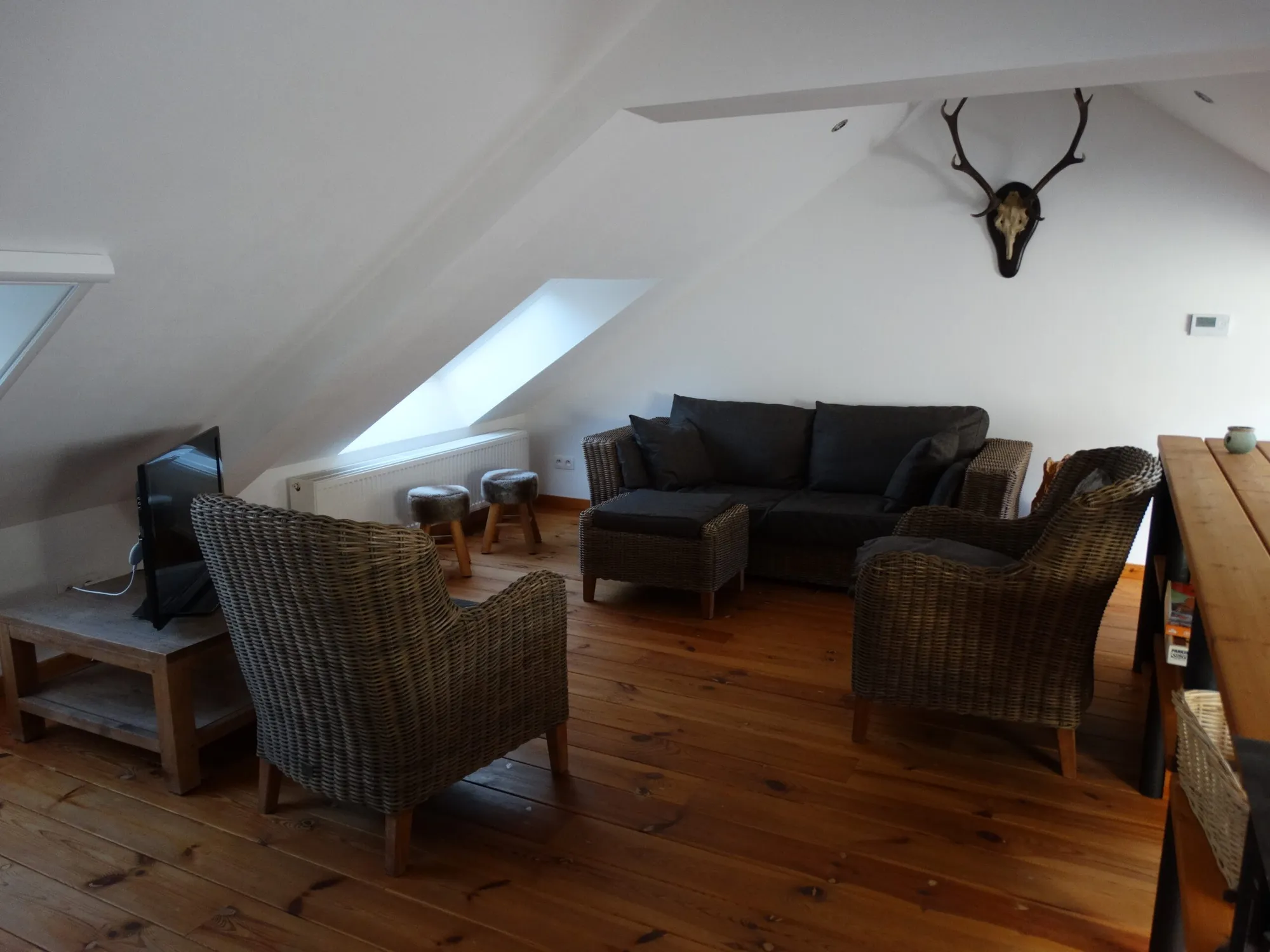 The living room under the skylights
